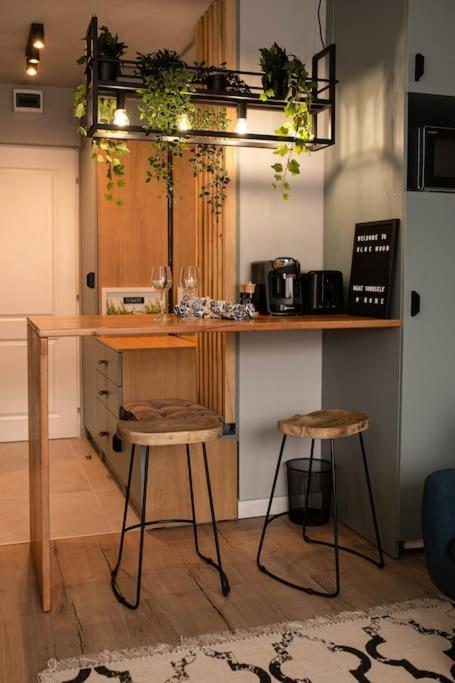 Blue Moon. Cozy Apartment Near Iulius Mall 克卢日-纳波卡 外观 照片