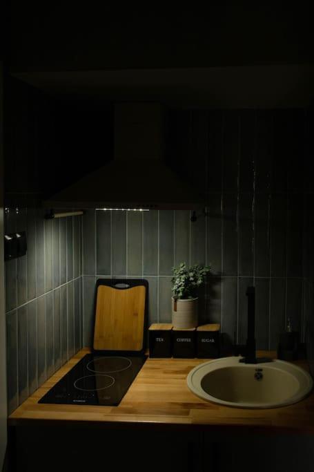 Blue Moon. Cozy Apartment Near Iulius Mall 克卢日-纳波卡 外观 照片