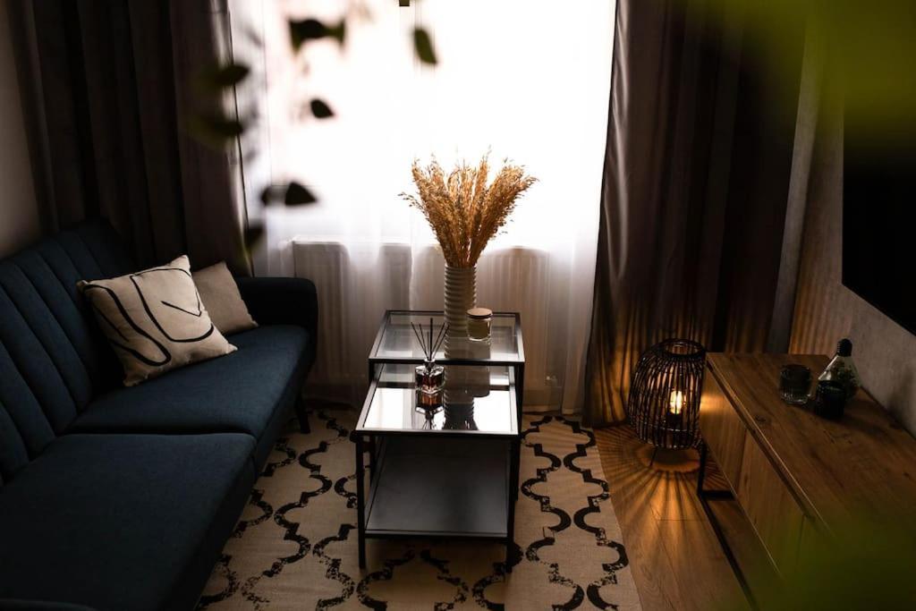 Blue Moon. Cozy Apartment Near Iulius Mall 克卢日-纳波卡 外观 照片