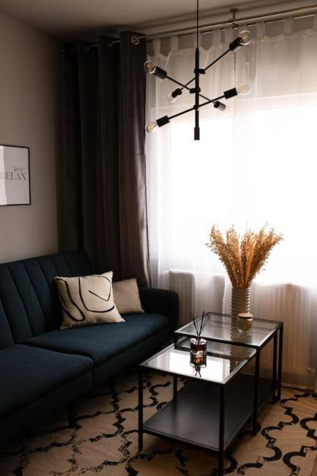 Blue Moon. Cozy Apartment Near Iulius Mall 克卢日-纳波卡 外观 照片